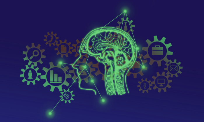 picture of a brain, network and cogs representing thought processes
